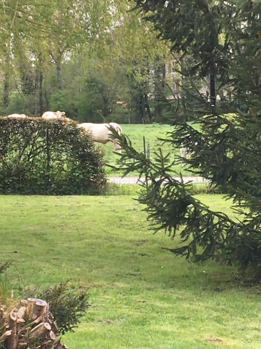 Cottage De Charme A La Campagne Aulnoy Extérieur photo