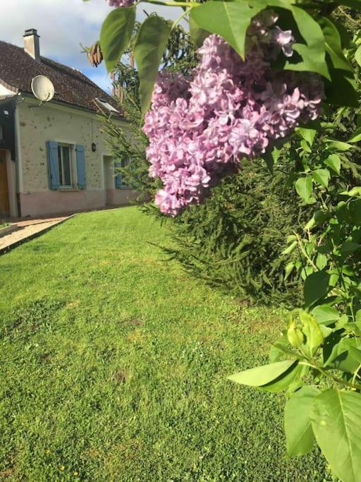 Cottage De Charme A La Campagne Aulnoy Extérieur photo